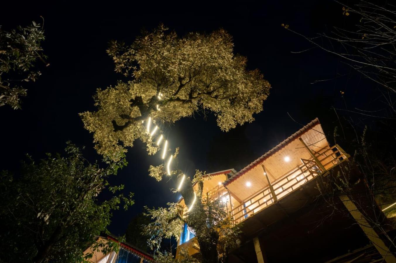Into The Woods Treehouse Jibhi Vila Exterior foto